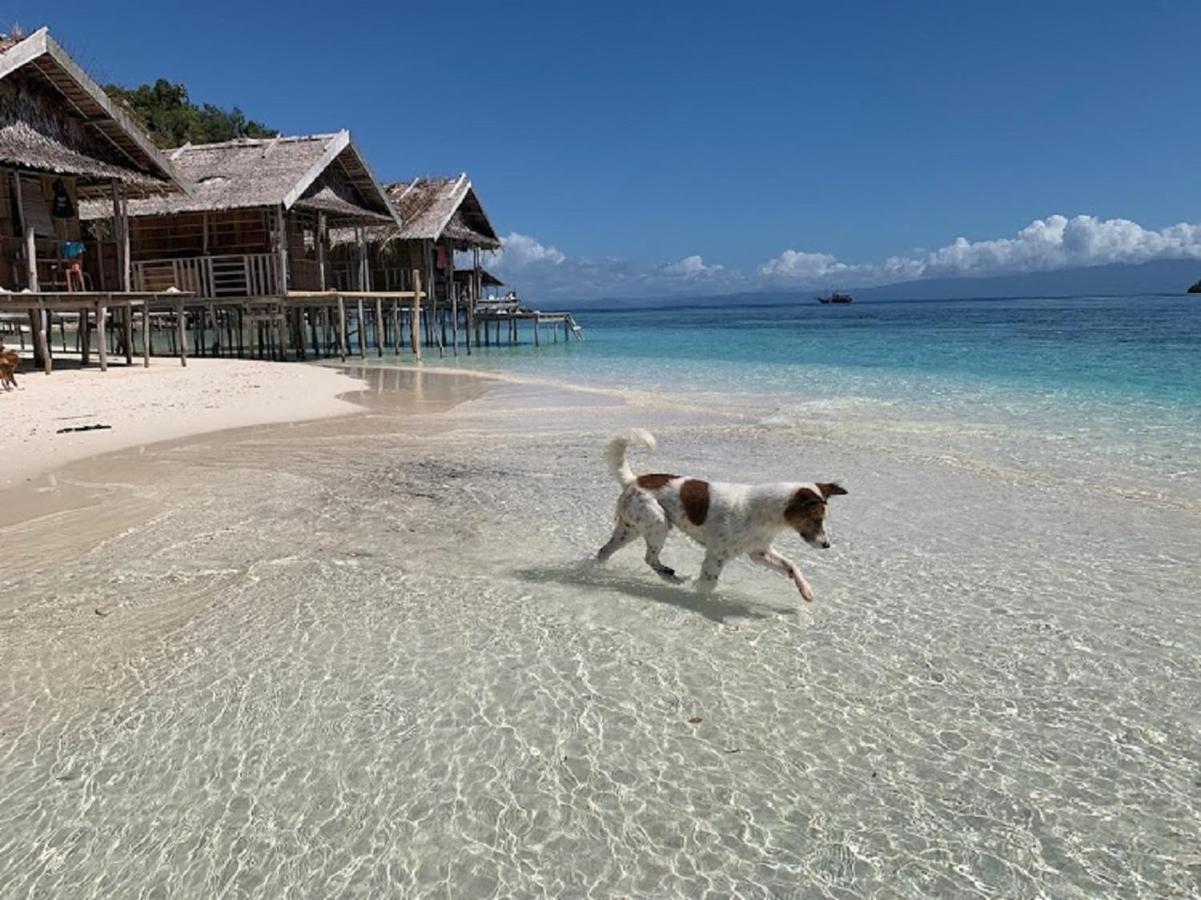Nus Homestay Raja Ampat Kri 외부 사진